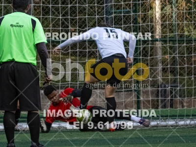 Detalhes da foto #2399137