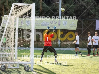 Detalhes da foto #6773691