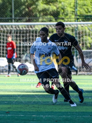 Detalhes da foto #9973243