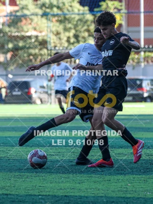 Detalhes da foto #7903049