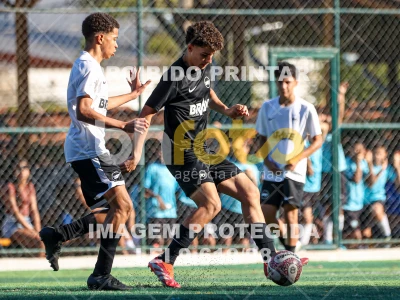 Detalhes da foto #8282852