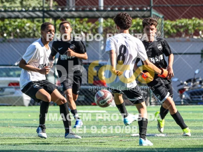 Detalhes da foto #1462847