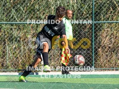 Detalhes da foto #8379235