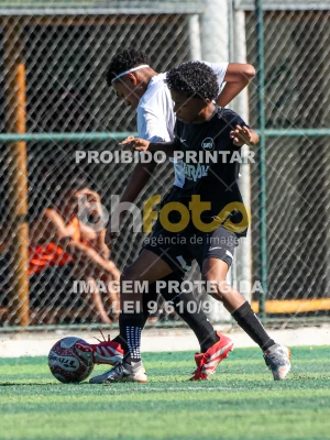 Detalhes da foto #6572236