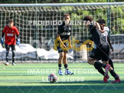 Detalhes da foto #2903125