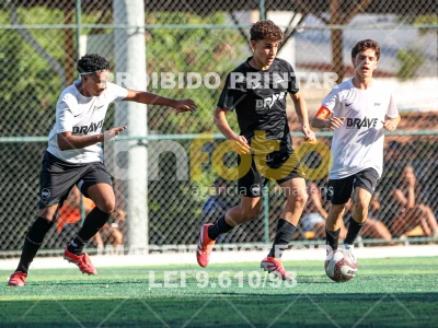 Detalhes da foto #2698194