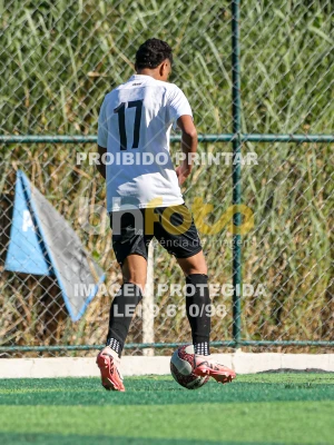 Detalhes da foto #7439612