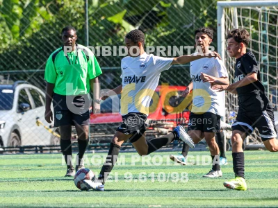 Detalhes da foto #8261450