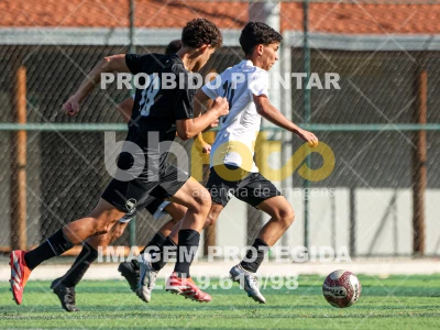 Detalhes da foto #1309181