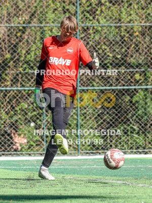 Detalhes da foto #2528160