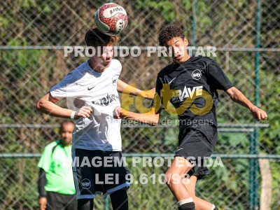 Detalhes da foto #7298425