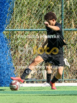 Detalhes da foto #8812687