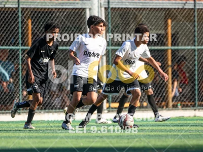 Detalhes da foto #2366408