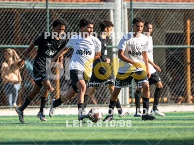 Detalhes da foto #5325011