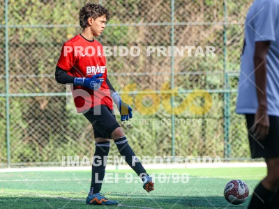 Detalhes da foto #1307297