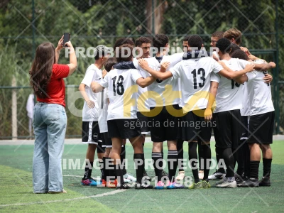 Detalhes da foto #90538