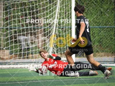 Detalhes da foto #30785