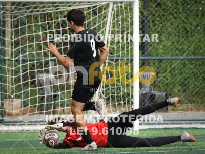 Detalhes da foto #45995