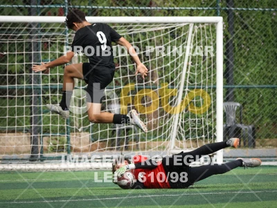 Detalhes da foto #77874