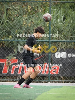 Detalhes da foto #24993