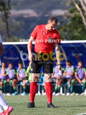 Detalhes da foto #61234