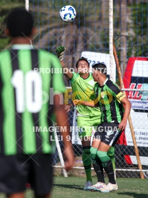Detalhes da foto #15056