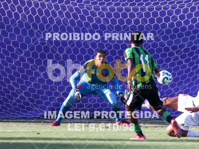 Detalhes da foto #61121