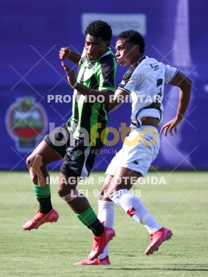 Detalhes da foto #57270