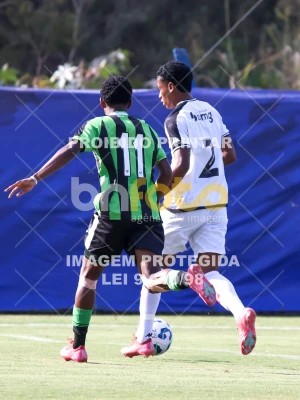 Detalhes da foto #75328