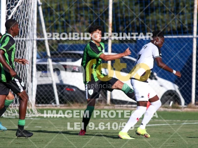 Detalhes da foto #55095