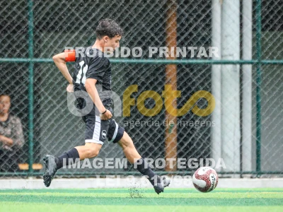 Detalhes da foto #95219