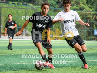 Detalhes da foto #45292