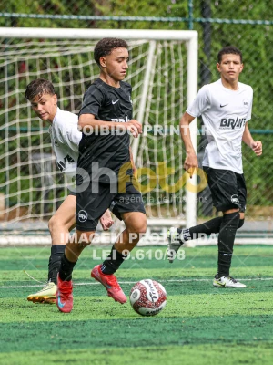 Detalhes da foto #93159