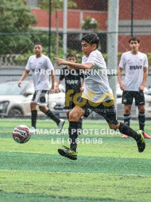 Detalhes da foto #30910