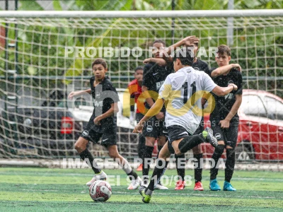 Detalhes da foto #42587