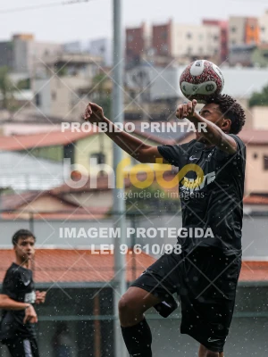 Detalhes da foto #52901