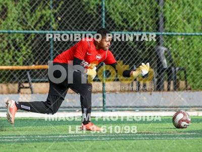 Detalhes da foto #48607