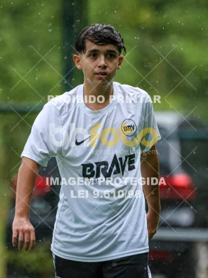 Detalhes da foto #13730