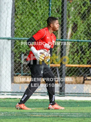 Detalhes da foto #77499