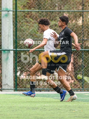 Detalhes da foto #3473182