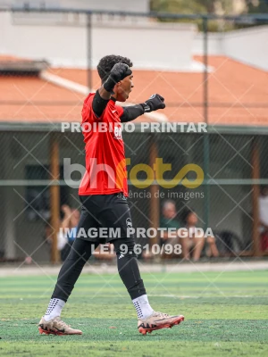Detalhes da foto #3366889