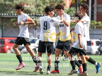 Detalhes da foto #33876