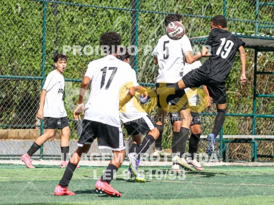 Detalhes da foto #22781