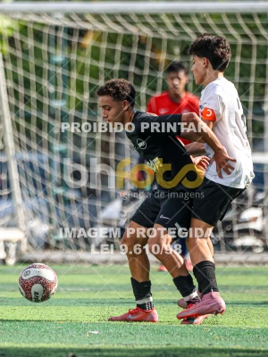 Detalhes da foto #85632