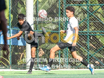 Detalhes da foto #71062