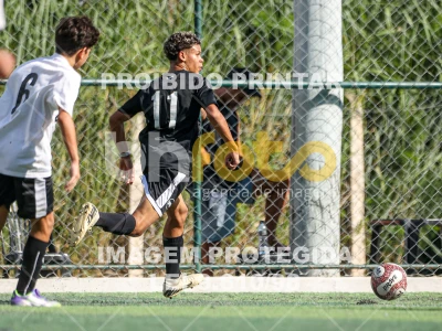 Detalhes da foto #96080