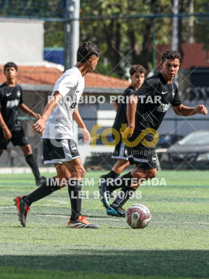 Detalhes da foto #32211