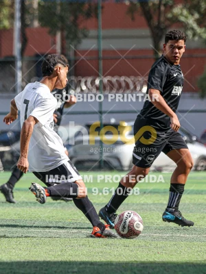 Detalhes da foto #312272