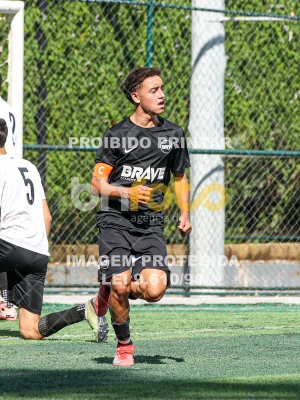 Detalhes da foto #928041