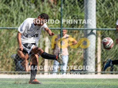 Detalhes da foto #97552